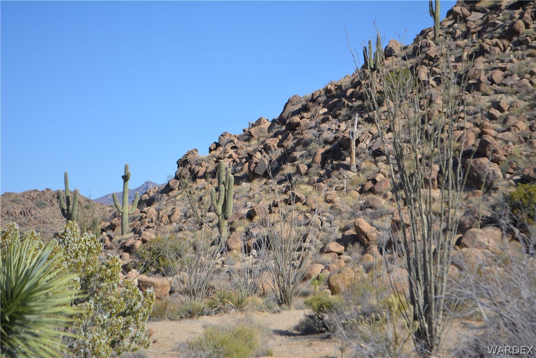 Lot 21 South Rawhide Road Yucca, AZ 86438 - Photo 1 of 32 Gallery Image 1