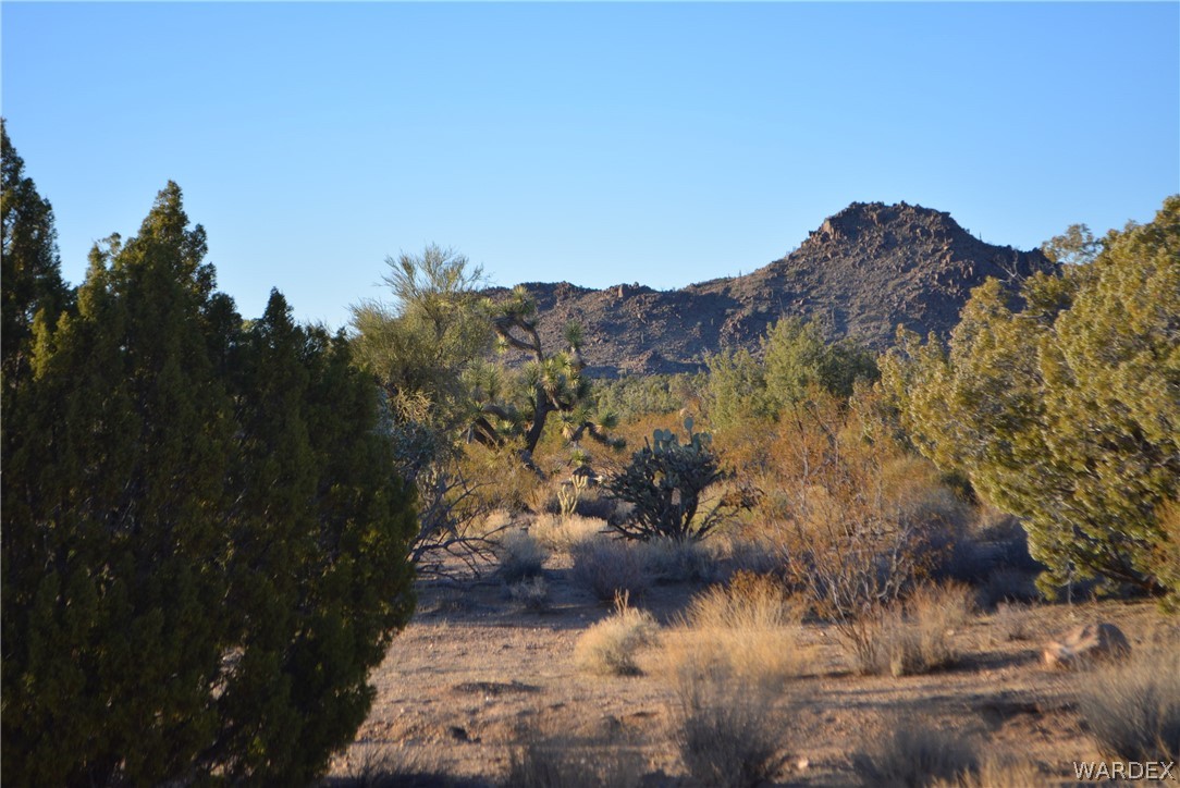 Lot 21 South Rawhide Road Yucca, AZ 86438 - Photo 11 of 32 Gallery Image 11