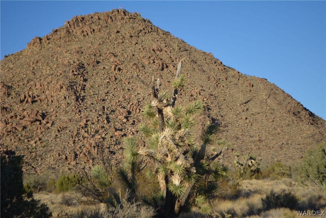 Lot 21 South Rawhide Road Yucca, AZ 86438 - Photo 12 of 32 Gallery Image 12