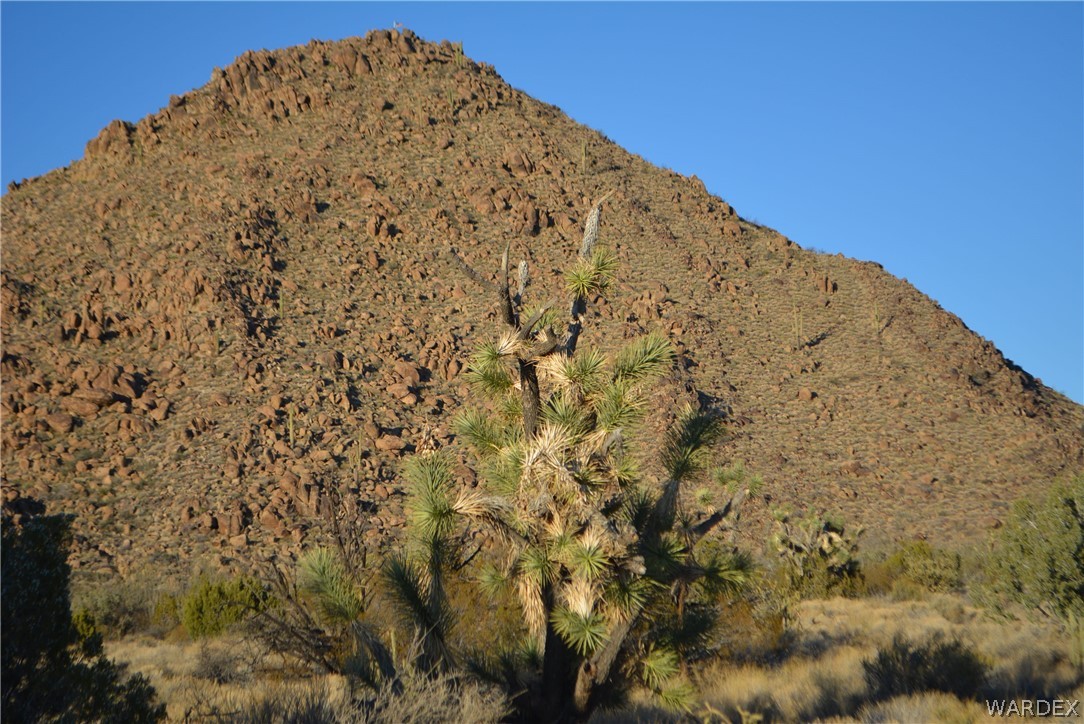 Lot 21 South Rawhide Road Yucca, AZ 86438 - Photo 13 of 32 Gallery Image 13