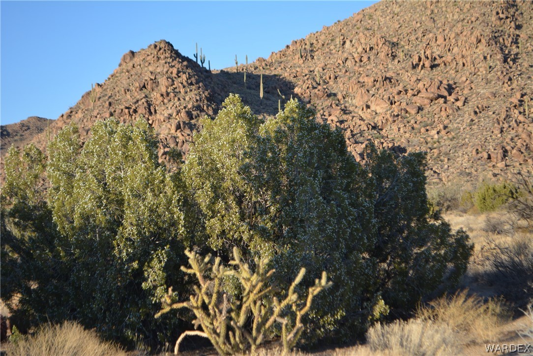 Lot 21 South Rawhide Road Yucca, AZ 86438 - Photo 14 of 32 Gallery Image 14
