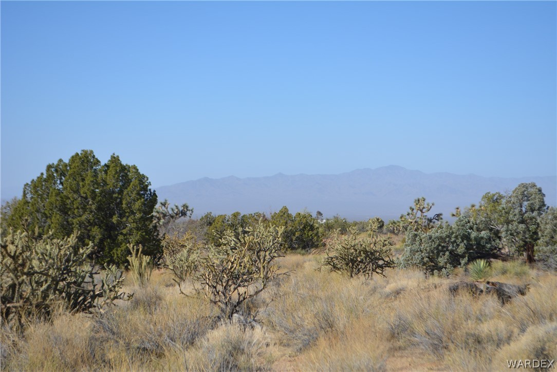 Lot 21 South Rawhide Road Yucca, AZ 86438 - Photo 15 of 32 Gallery Image 15
