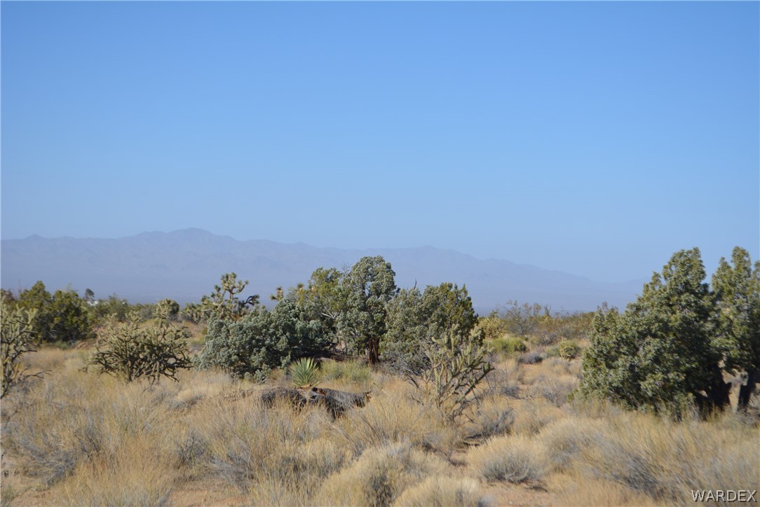 Lot 21 South Rawhide Road Yucca, AZ 86438 - Photo 16 of 32 Gallery Image 16