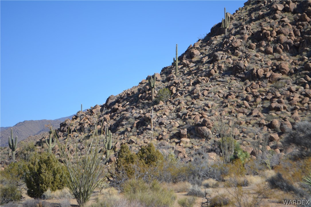 Lot 21 South Rawhide Road Yucca, AZ 86438 - Photo 18 of 32 Gallery Image 18