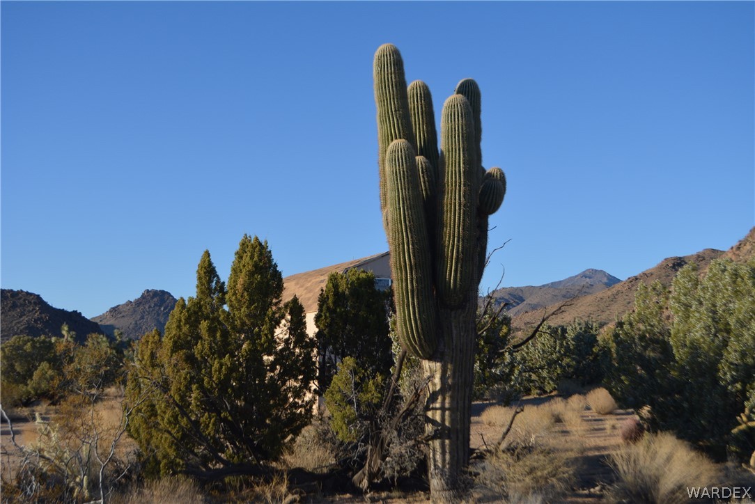 Lot 21 South Rawhide Road Yucca, AZ 86438 - Photo 2 of 32 Gallery Image 2