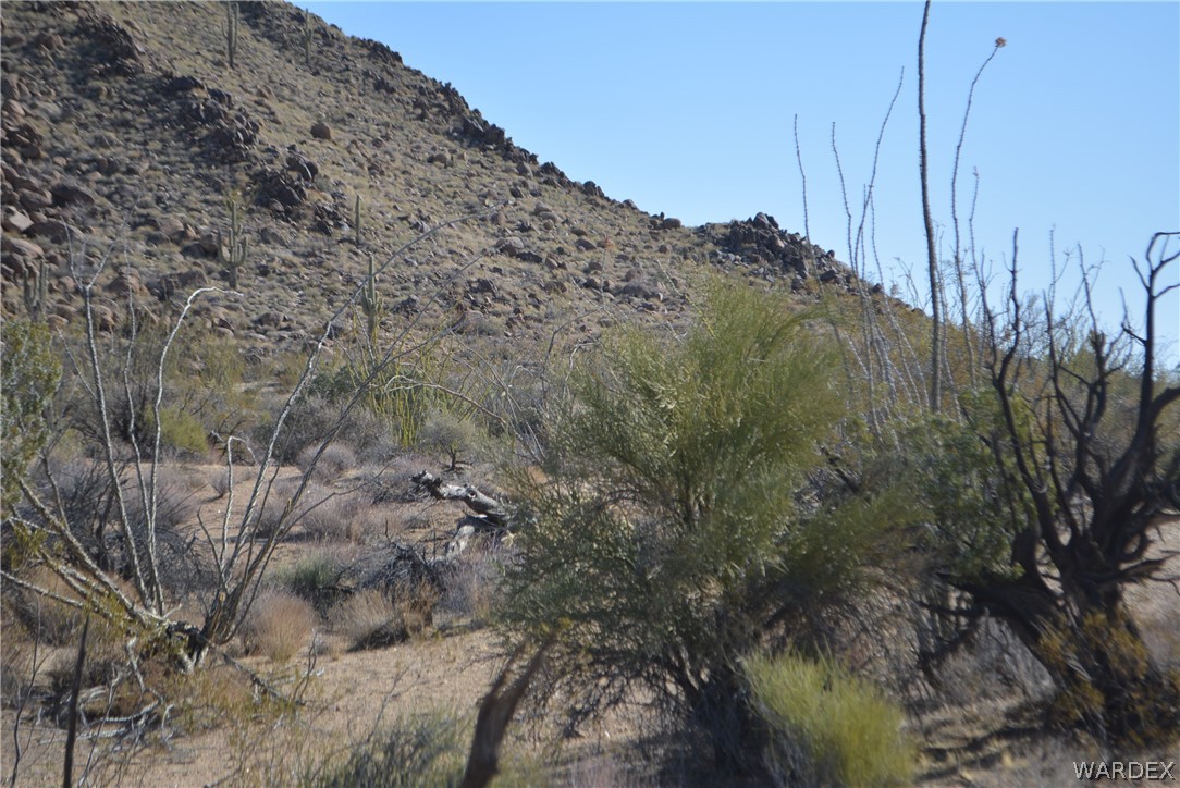 Lot 21 South Rawhide Road Yucca, AZ 86438 - Photo 23 of 32 Gallery Image 23