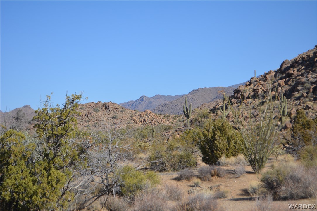 Lot 21 South Rawhide Road Yucca, AZ 86438 - Photo 27 of 32 Gallery Image 27