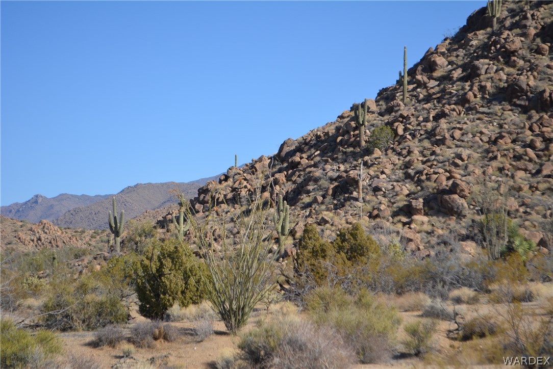 Lot 21 South Rawhide Road Yucca, AZ 86438 - Photo 28 of 32 Gallery Image 28