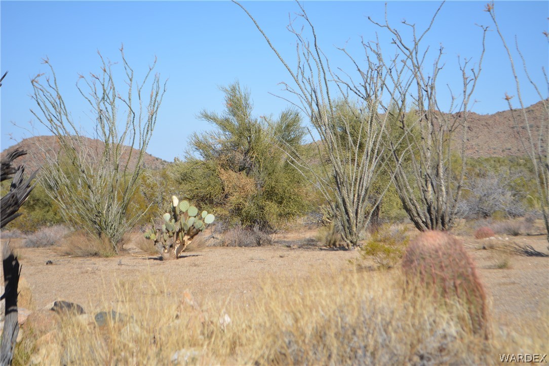 Lot 21 South Rawhide Road Yucca, AZ 86438 - Photo 29 of 32 Gallery Image 29