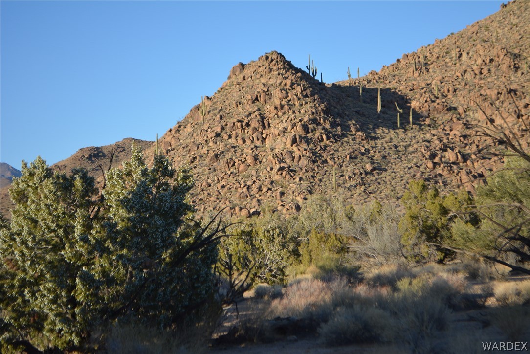Lot 21 South Rawhide Road Yucca, AZ 86438 - Photo 3 of 32 Gallery Image 3