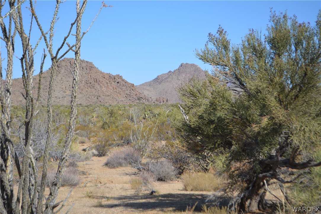 Lot 21 South Rawhide Road Yucca, AZ 86438 - Photo 31 of 32 Gallery Image 31