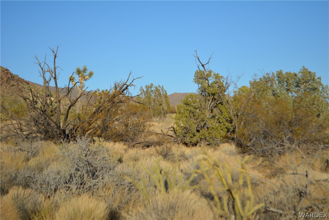 Lot 21 South Rawhide Road Yucca, AZ 86438 - Photo 6 of 32 Gallery Image 6