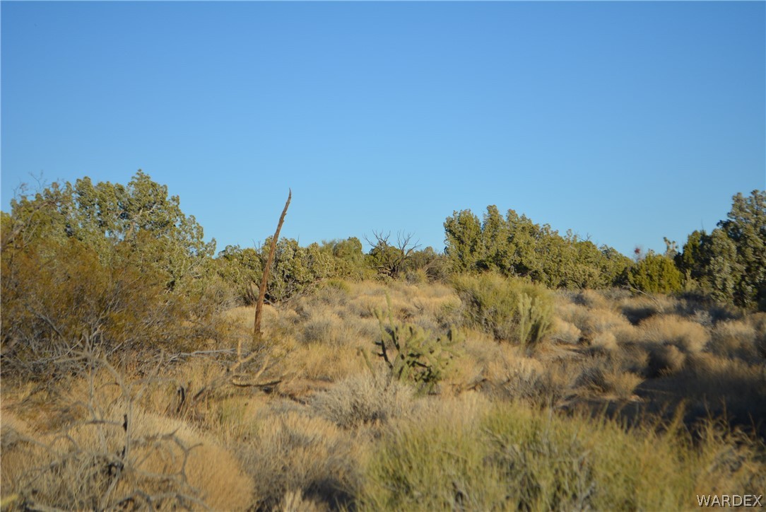 Lot 21 South Rawhide Road Yucca, AZ 86438 - Photo 7 of 32 Gallery Image 7