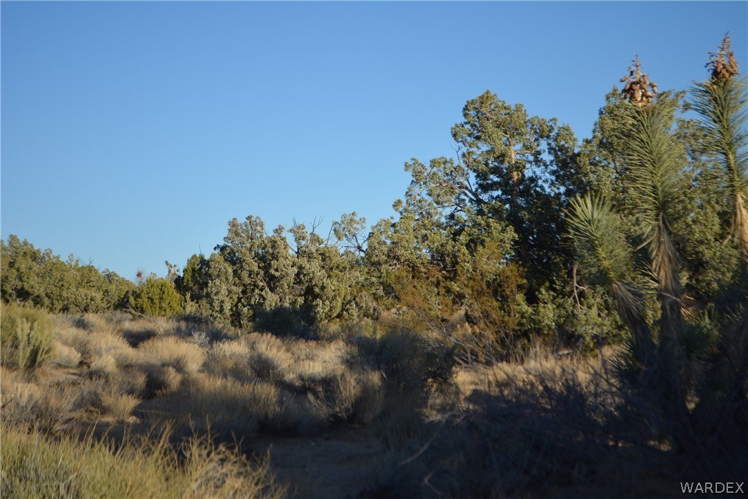 Lot 21 South Rawhide Road Yucca, AZ 86438 - Photo 8 of 32 Gallery Image 8