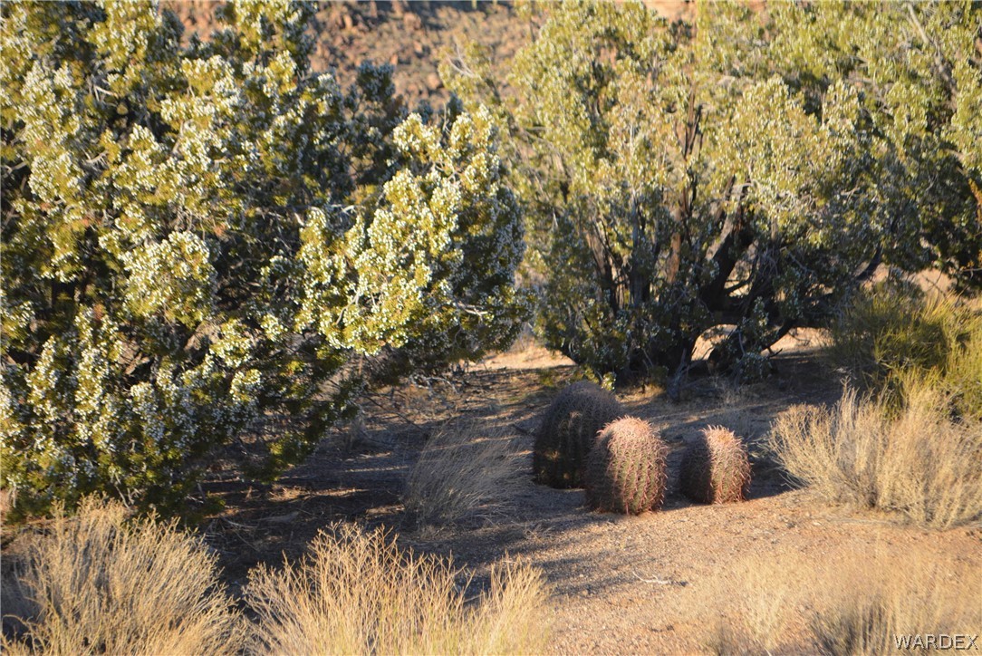Lot 21 South Rawhide Road Yucca, AZ 86438 - Photo 10 of 32 Gallery Image 10