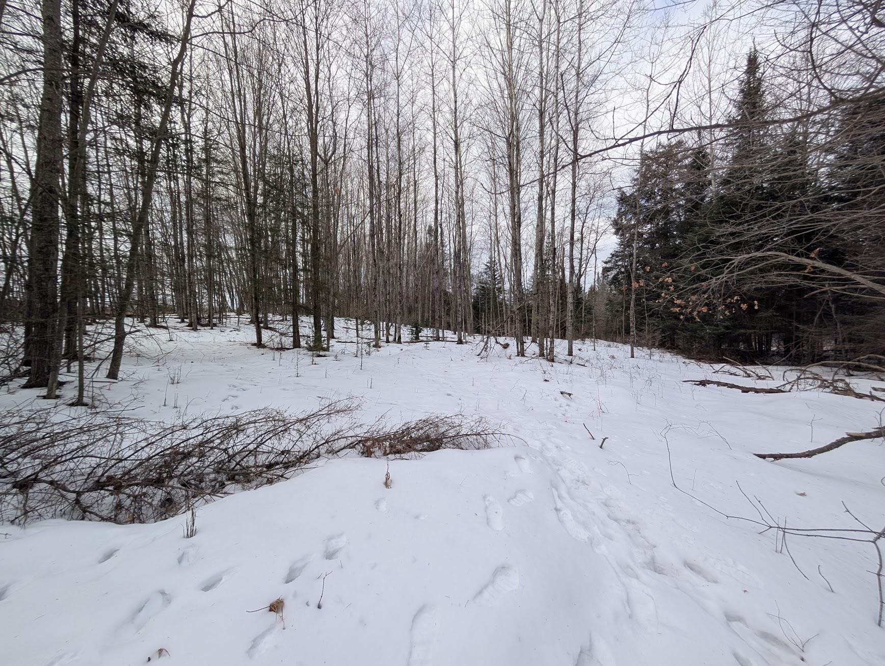 2370 Coville Road Mikado, MI 48745 - Photo 7 of 8