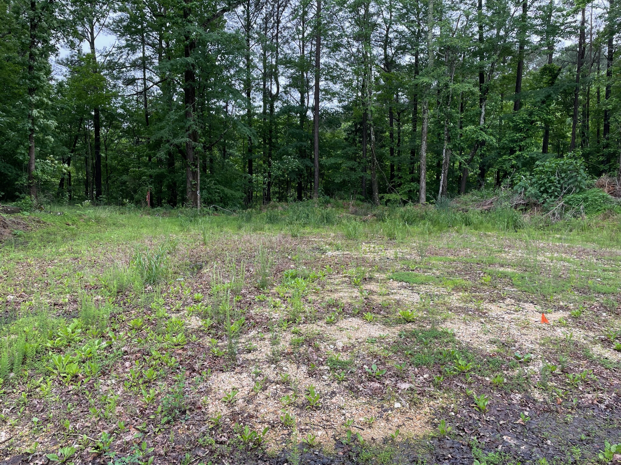 0 Rocky Ridge Road Camden, TN 38320 - Photo 1 of 13 Gallery Image 1