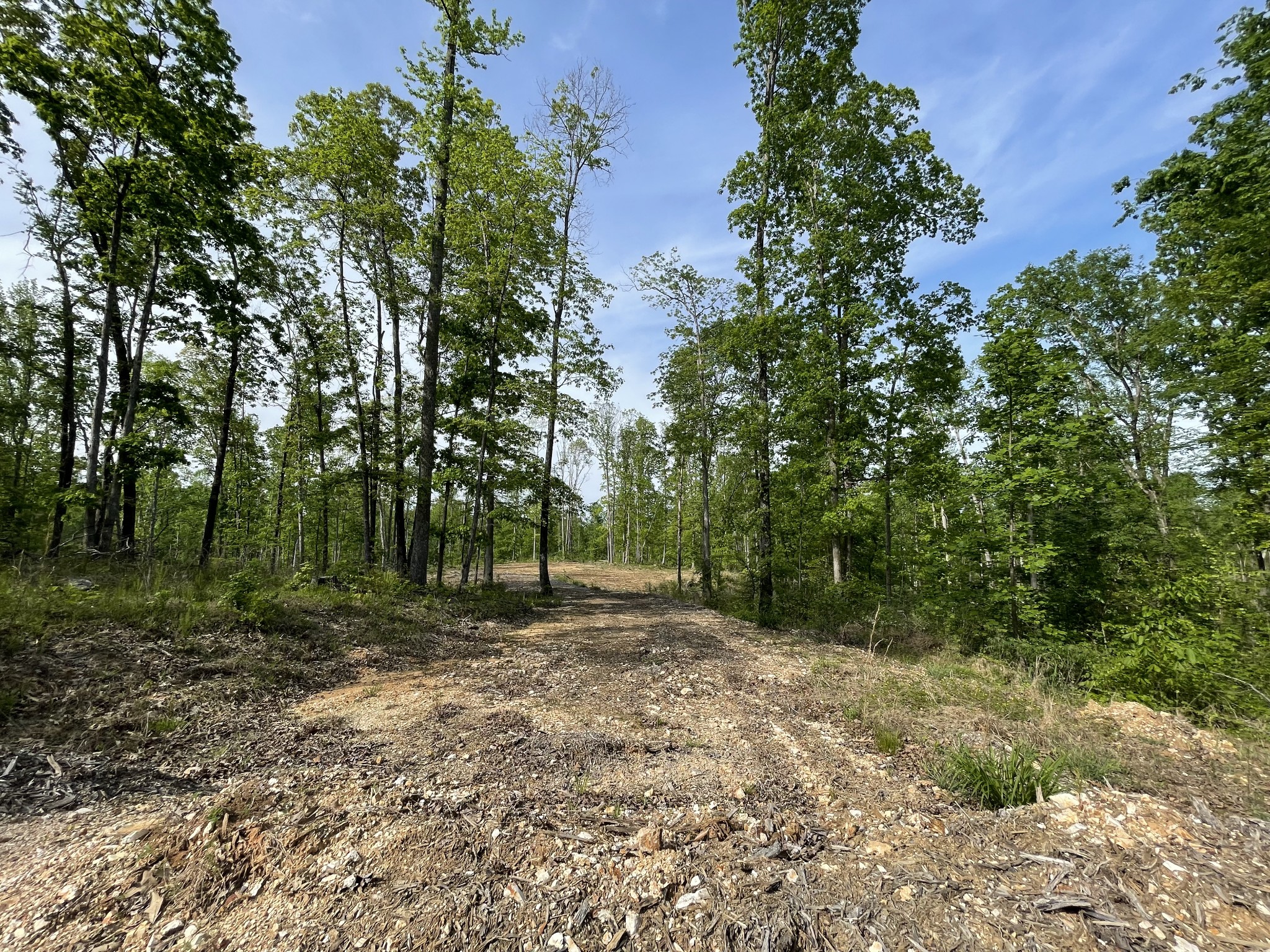 0 Rocky Ridge Road Camden, TN 38320 - Photo 11 of 13 Gallery Image 11