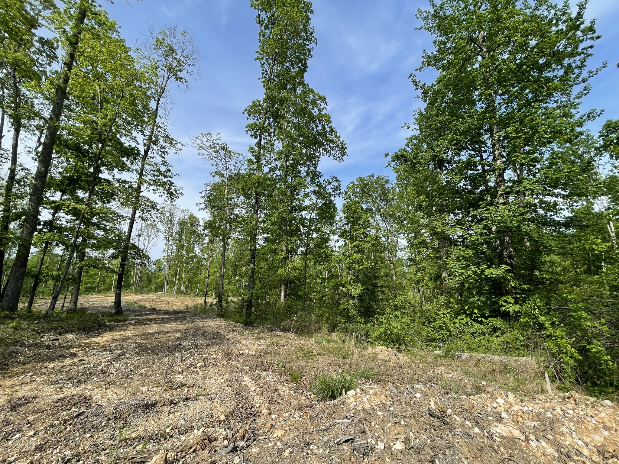 0 Rocky Ridge Road Camden, TN 38320 - Photo 12 of 13 Gallery Image 12