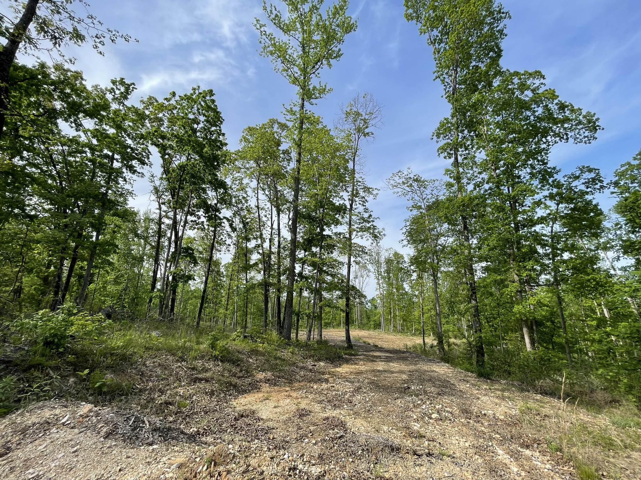 0 Rocky Ridge Road Camden, TN 38320 - Photo 13 of 13 Gallery Image 13