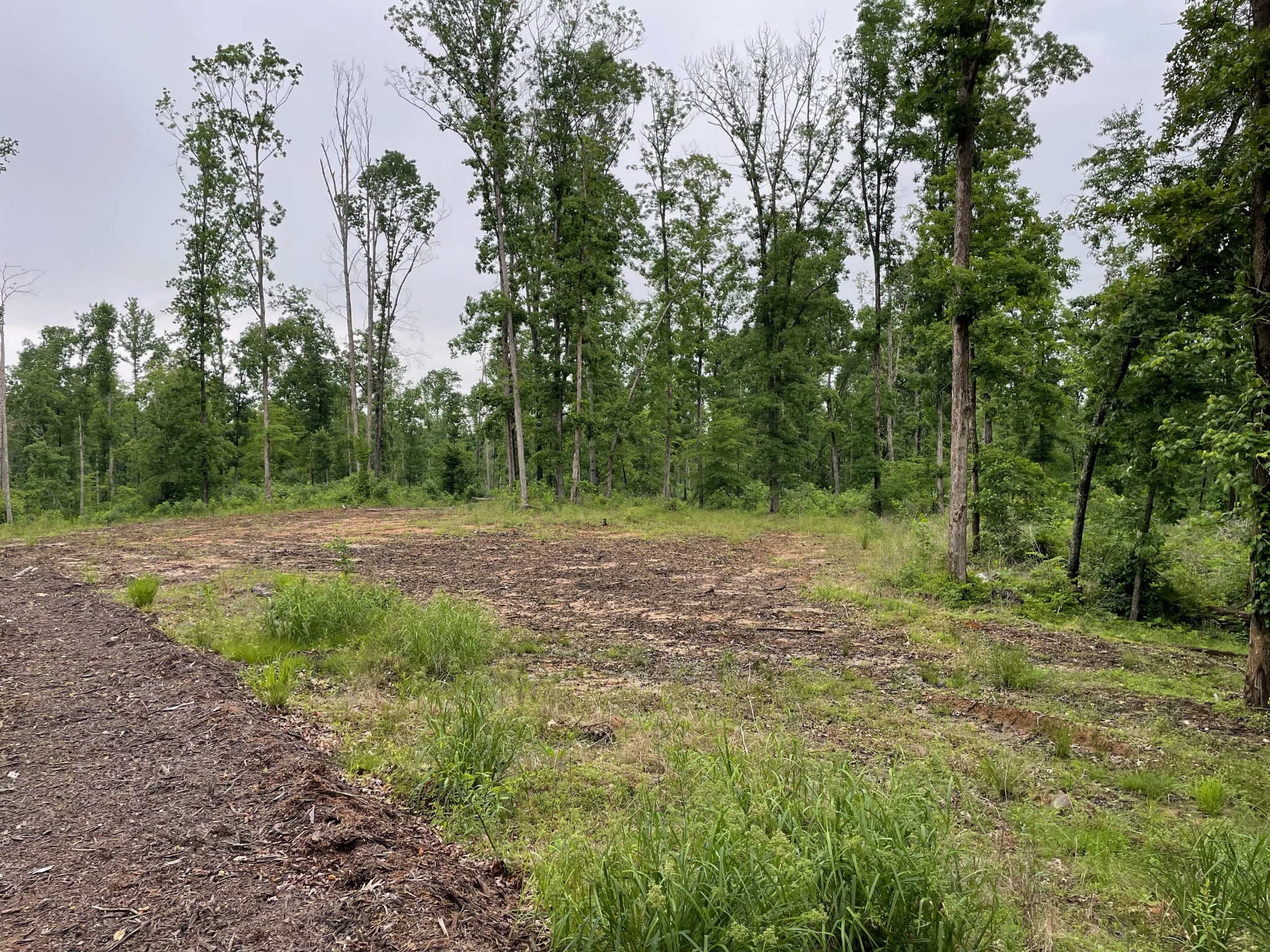 0 Rocky Ridge Road Camden, TN 38320 - Photo 6 of 13 Gallery Image 6