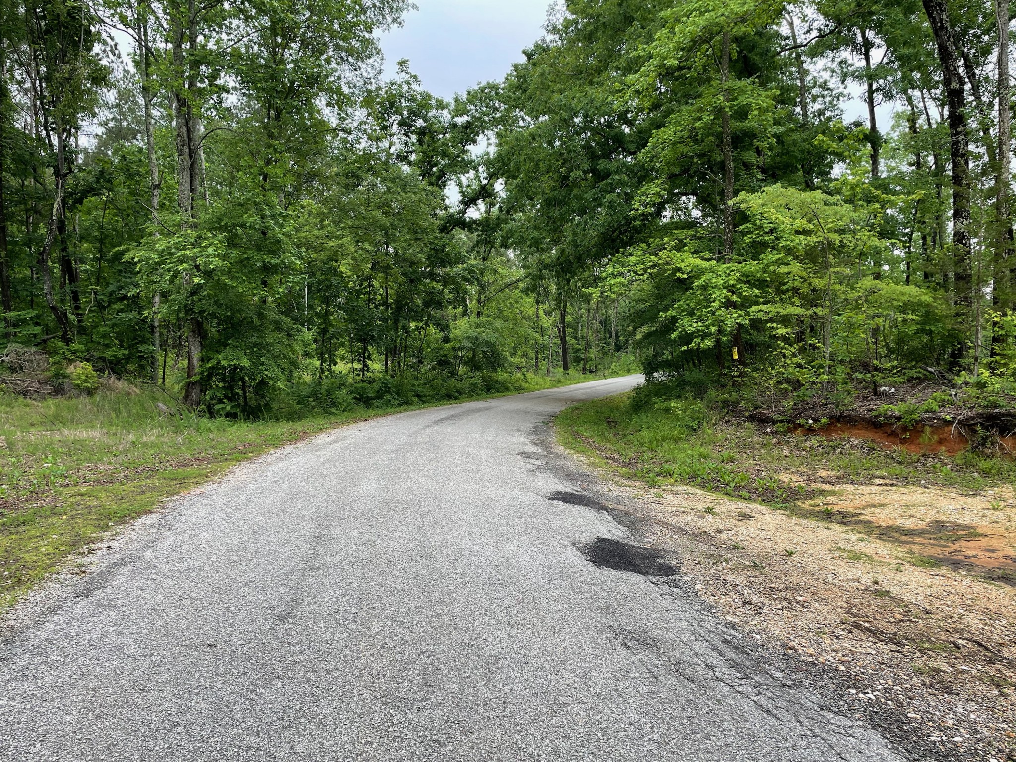 0 Rocky Ridge Road Camden, TN 38320 - Photo 10 of 13 Gallery Image 10