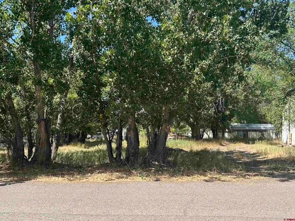 $65,000 | 610 Grape Street, Nucla, CO 81424