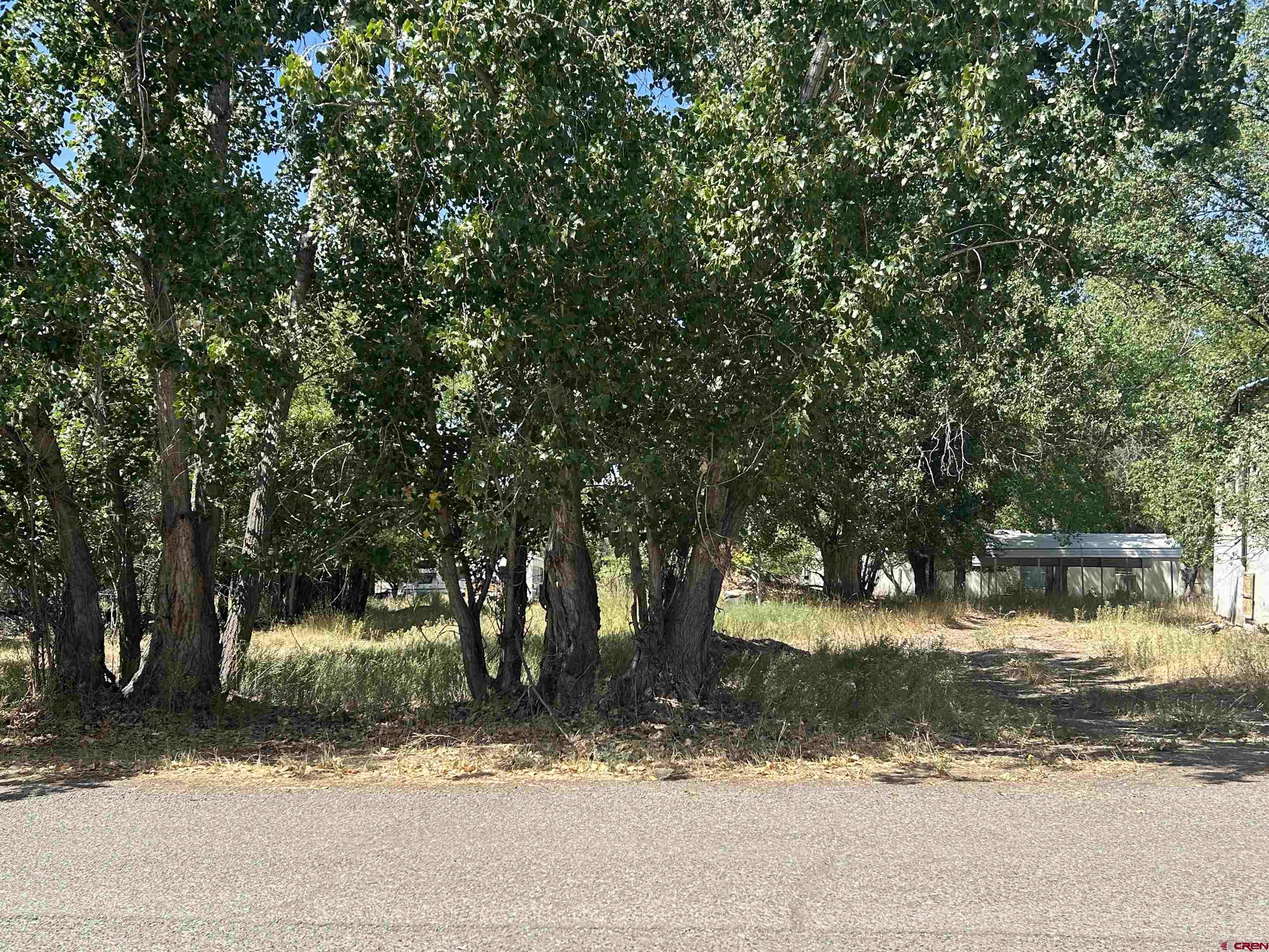 610 Grape Street Nucla, CO 81424 - Photo 1 of 3 a view of a yard in front of a house