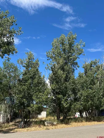 $65,000 | 610 Grape Street, Nucla, CO 81424