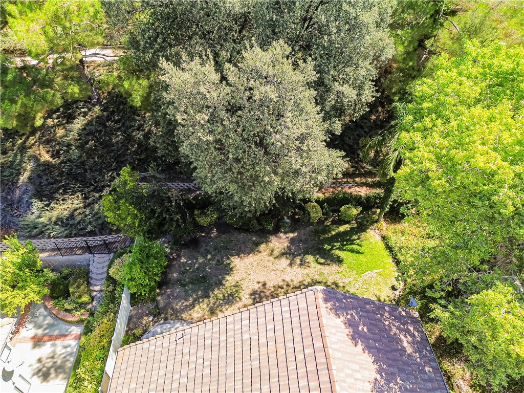 24220 Mentry Drive Newhall, CA 91321 - Photo 50 of 50 a view of a yard