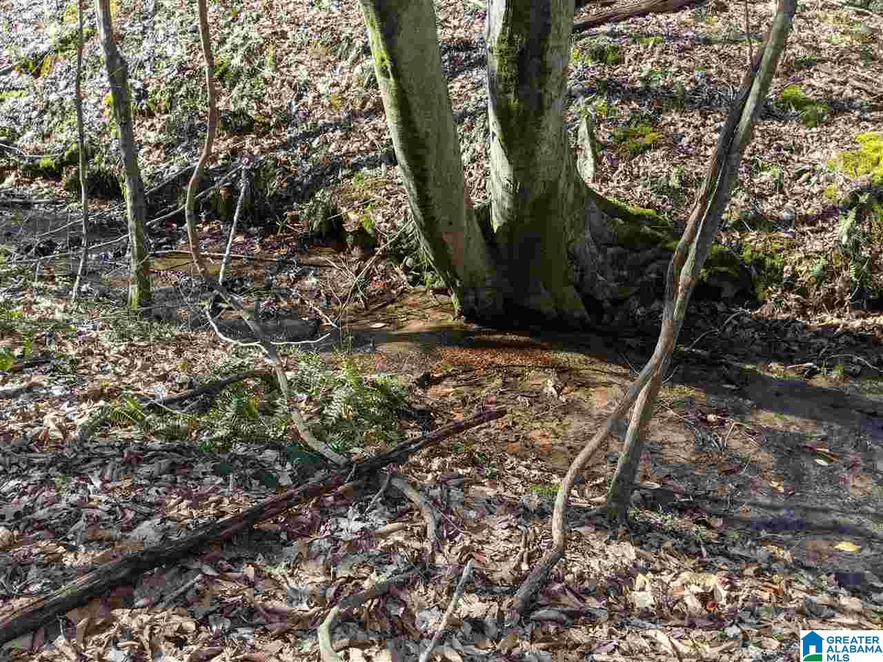 1731 Bolton Road Talladega, AL 35160 - Photo 18 of 46