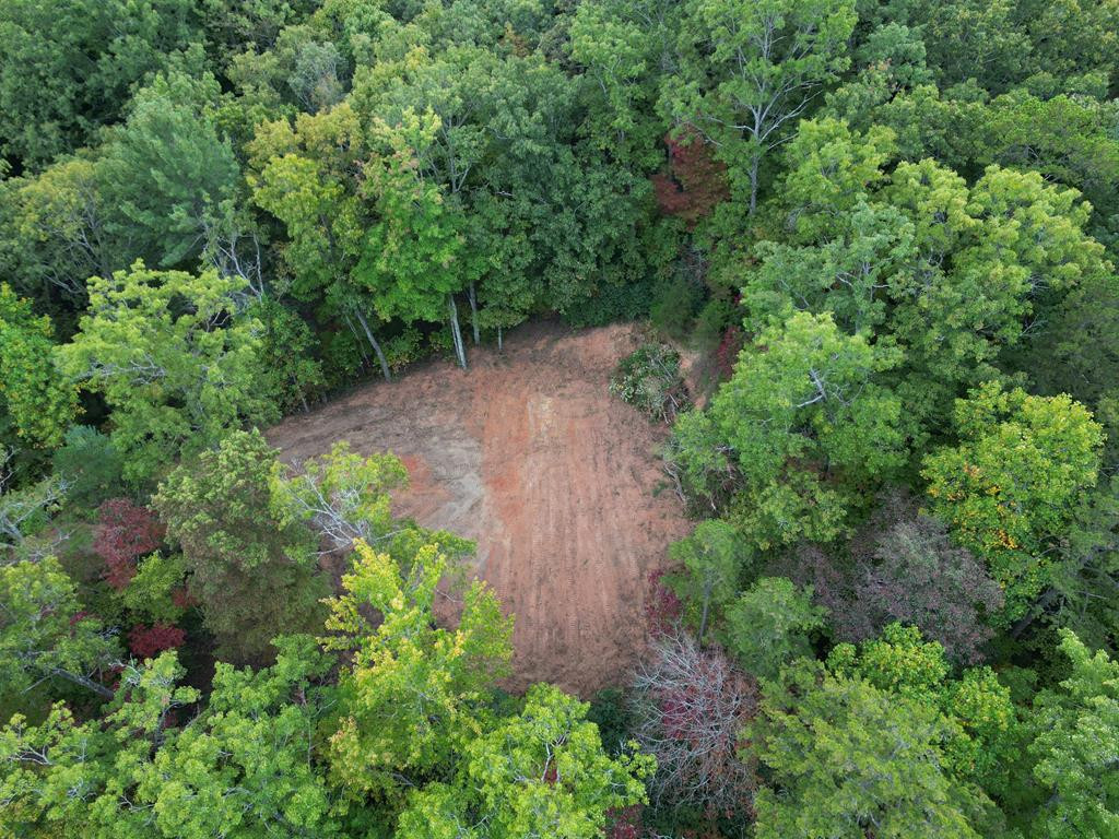 3.69-ac Atoah Loop Murphy, NC 28906 - Photo 23 of 28 Gallery Image 23