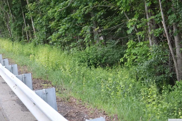 a view of a park with slides