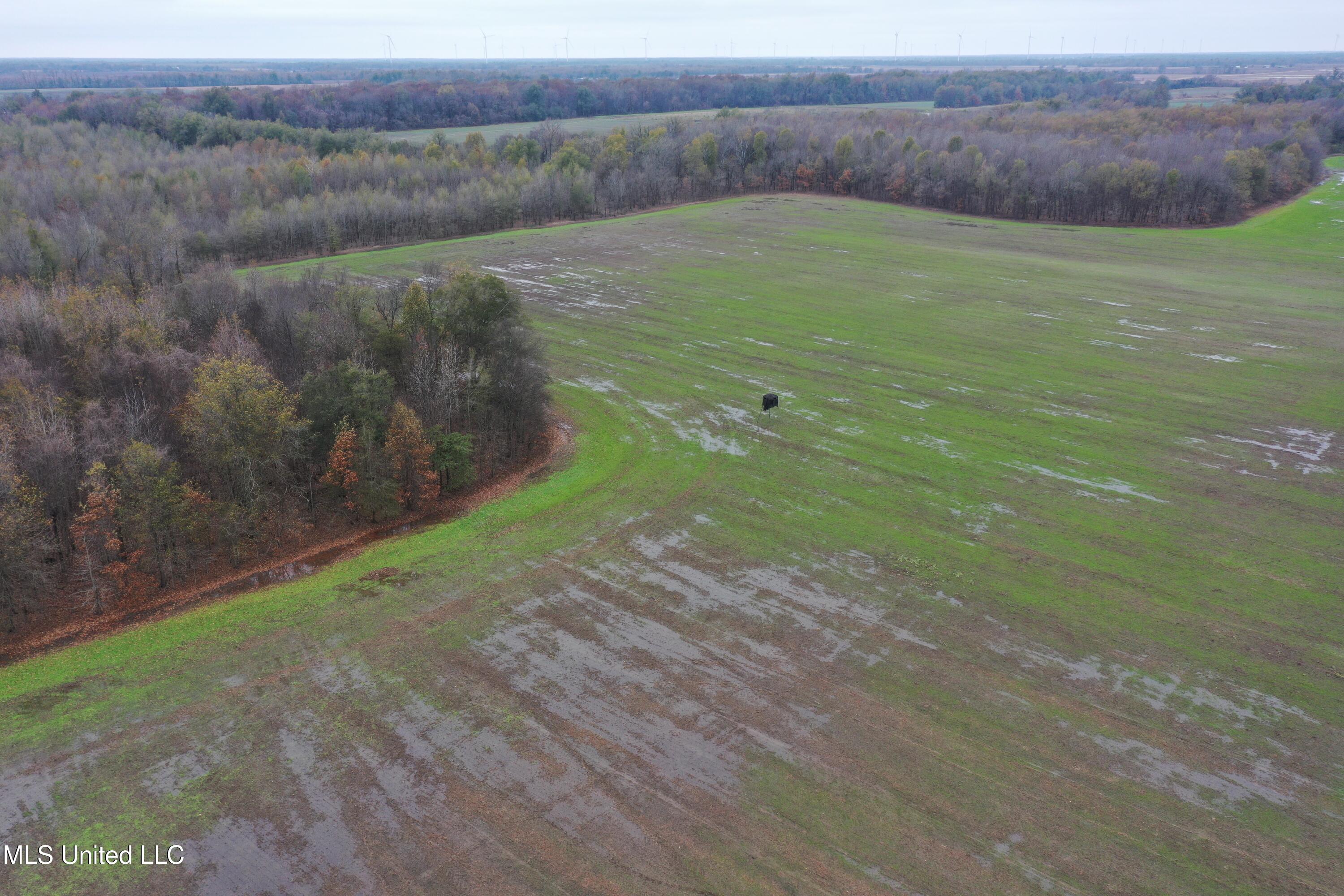 2000 Walnut Lake Road Dundee, MS 38626 - Photo 10 of 34 DJI_0705