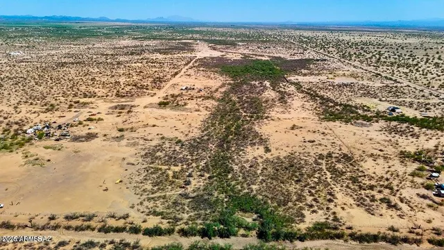 a view of yard with wooden floor