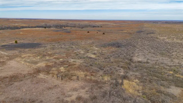 a view of empty yard with trees