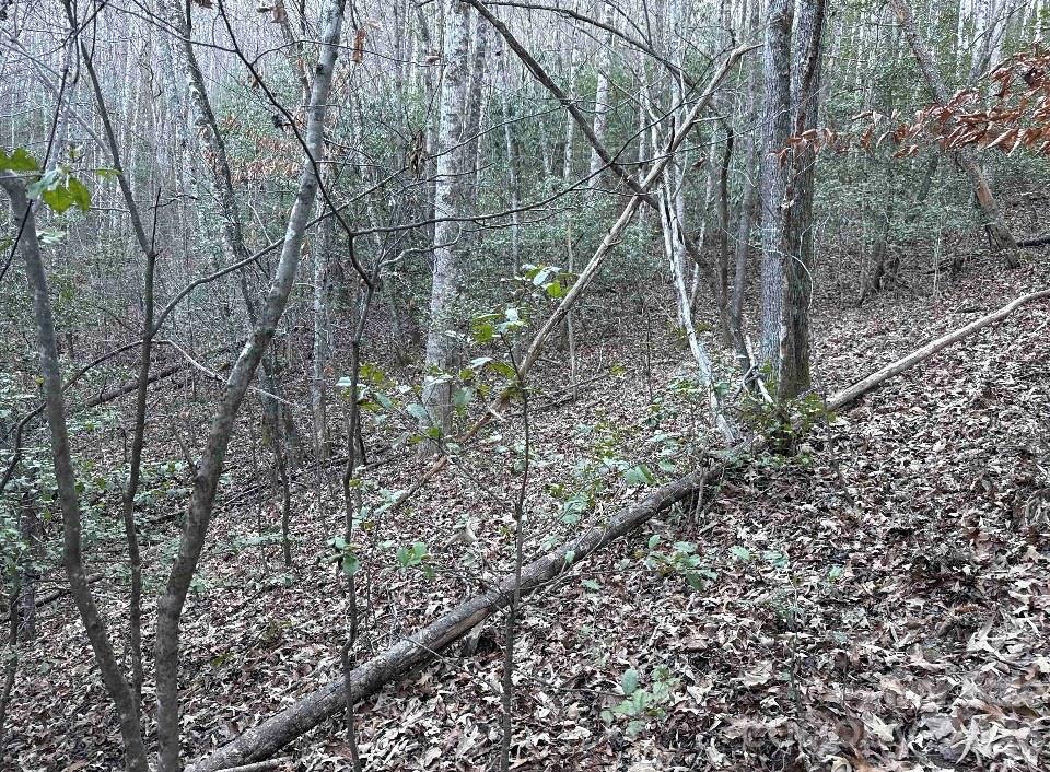 70 Earls Road Bryson City, NC 28713 - Photo 12 of 17 a backyard of a house with lots of green space