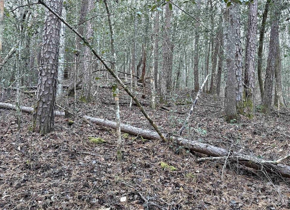 70 Earls Road Bryson City, NC 28713 - Photo 13 of 17 a backyard of a house with lots of green space