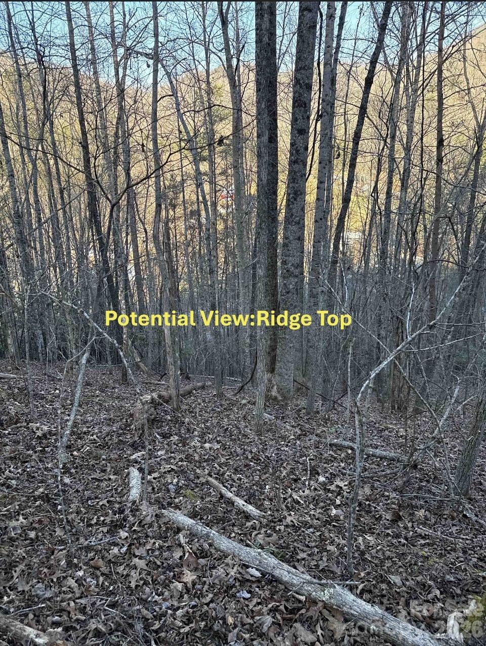 70 Earls Road Bryson City, NC 28713 - Photo 15 of 17 a view of a yard