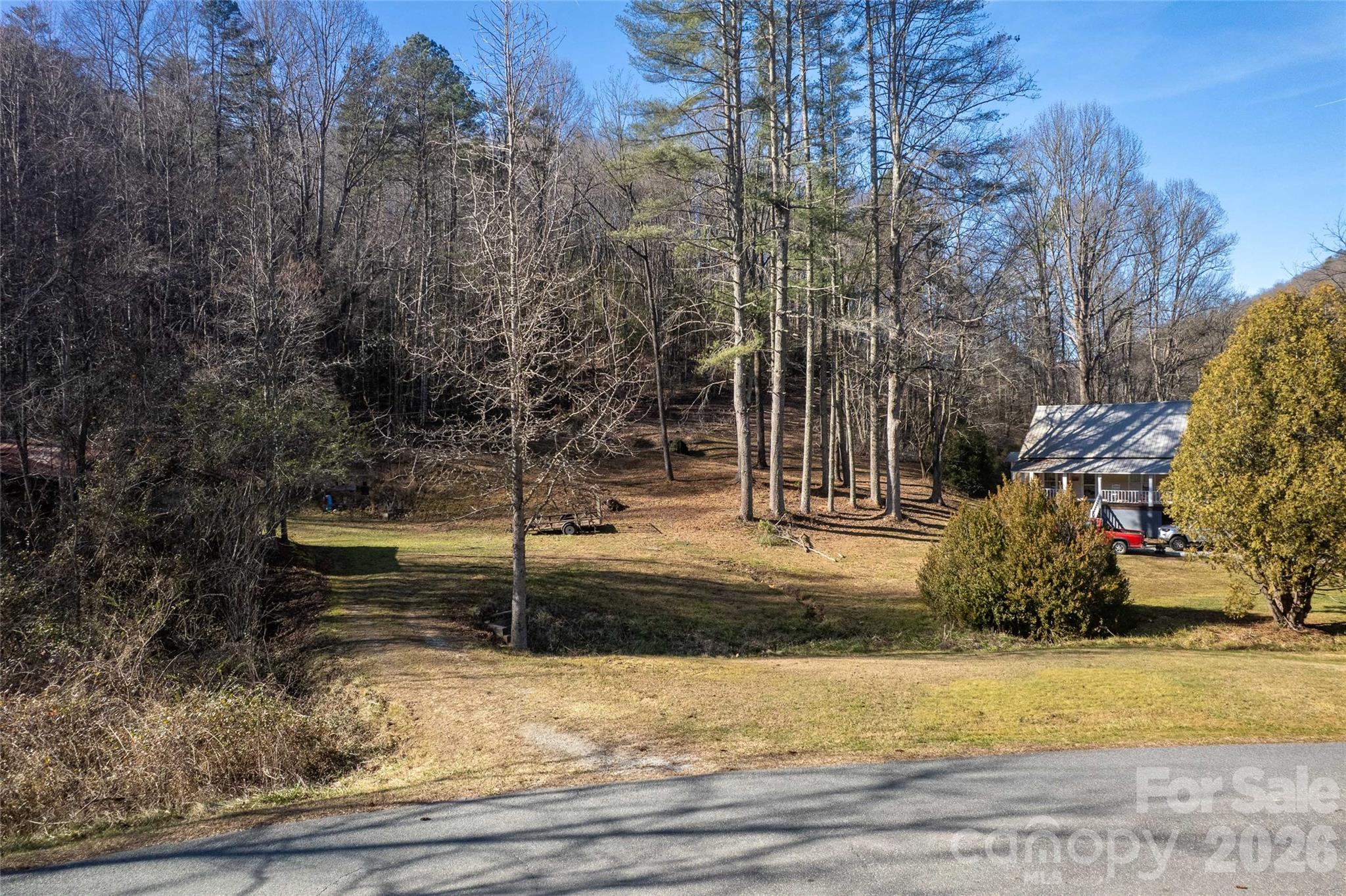 70 Earls Road Bryson City, NC 28713 - Photo 3 of 17 a view of a yard with large trees