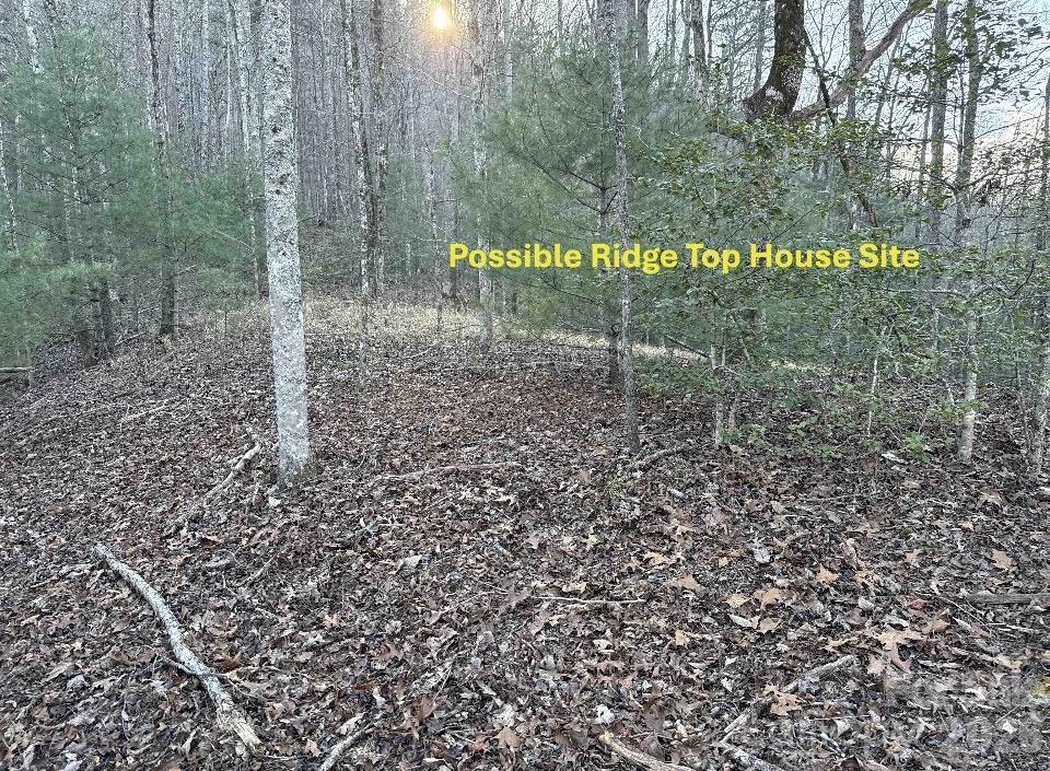 70 Earls Road Bryson City, NC 28713 - Photo 5 of 17 a view of a park that has large trees