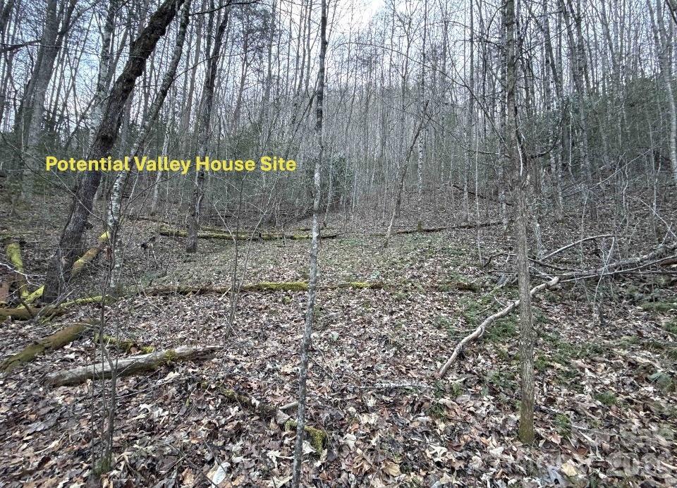 70 Earls Road Bryson City, NC 28713 - Photo 6 of 17 a view of a yard with a wooden fence