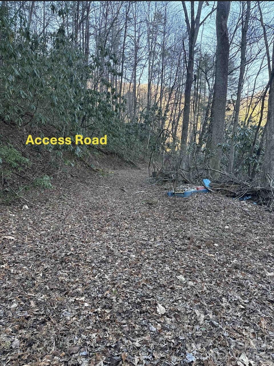 70 Earls Road Bryson City, NC 28713 - Photo 10 of 17 a view of outdoor space with trees