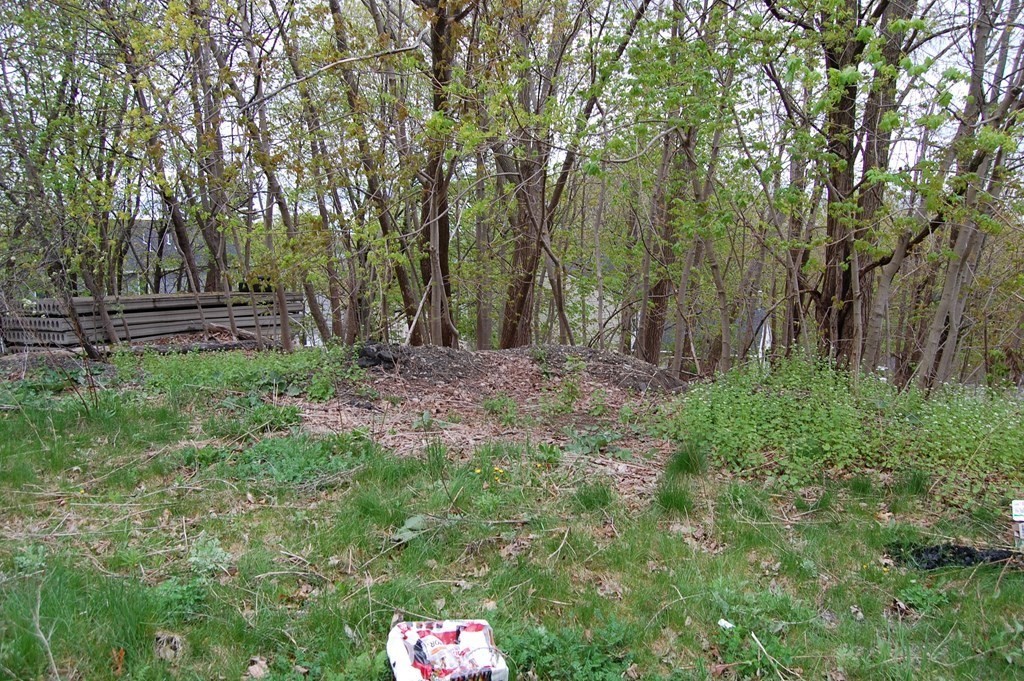 0 Steele Street Worcester, MA 01607 - Photo 1 of 2 Gallery Image 1