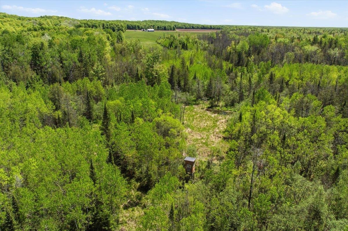 0 County Highway J Deerbrook, WI 54424 - Photo 40 of 78