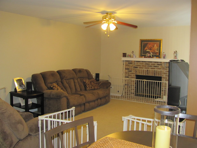 34360 North Redtop Road Round Lake, IL 60073 - Photo 10 of 25
