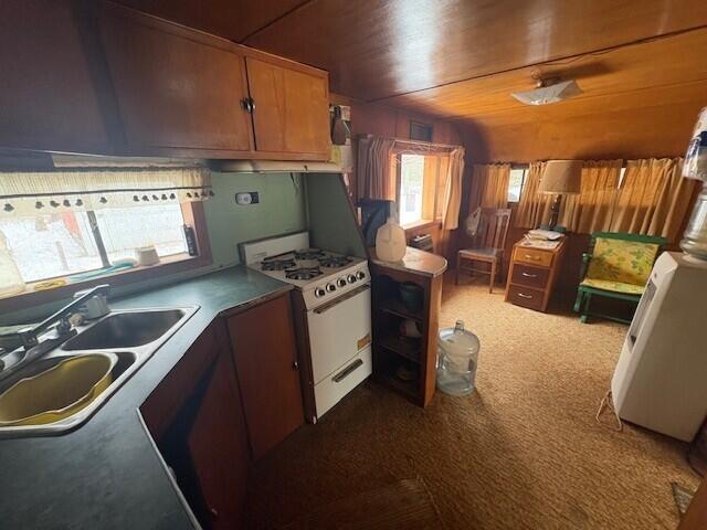 492 14 Mile Road Marion, MI 49665 - Photo 8 of 20 bl10