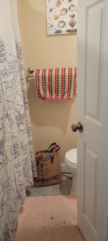 83 Kaposia Street, Unit 83 Newton, MA 02466 - Photo 9 of 12