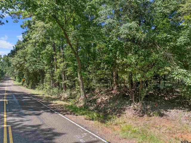 a view of a yard with plants and a tree