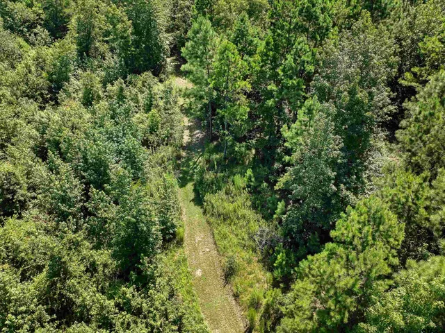 $174,900 | 225 South St Laneville Tx 75667, Laneville, TX 75667